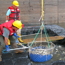 Lifting net in use