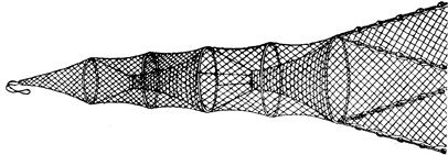 Fish trap with wing nets