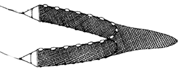 Seine net with bag