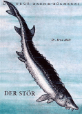 Der Stör