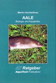 Aale (Anguillidae): Biologie und Aquakultur