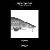 Sturgeon Fishes