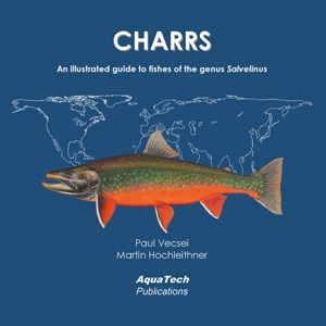 CHARRS: An illustrated guide to fishes of the genus Salvelinus