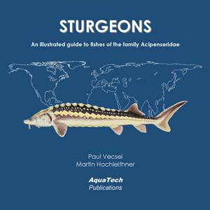 STURGEONS: An illustrated guide to fishes of the family Acipenseridae